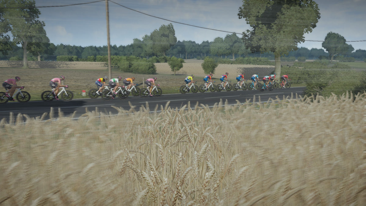 Tour De France 2024 (XBOX Series X)