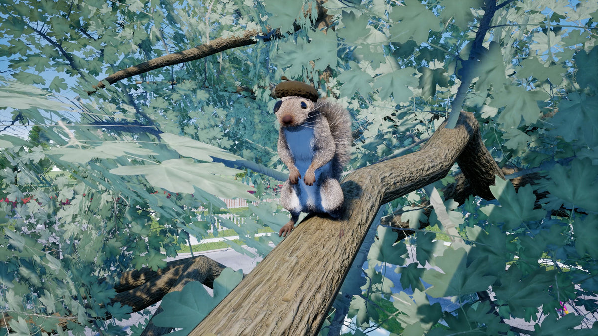 Squirrel With A Gun (Nintendo Switch 2)