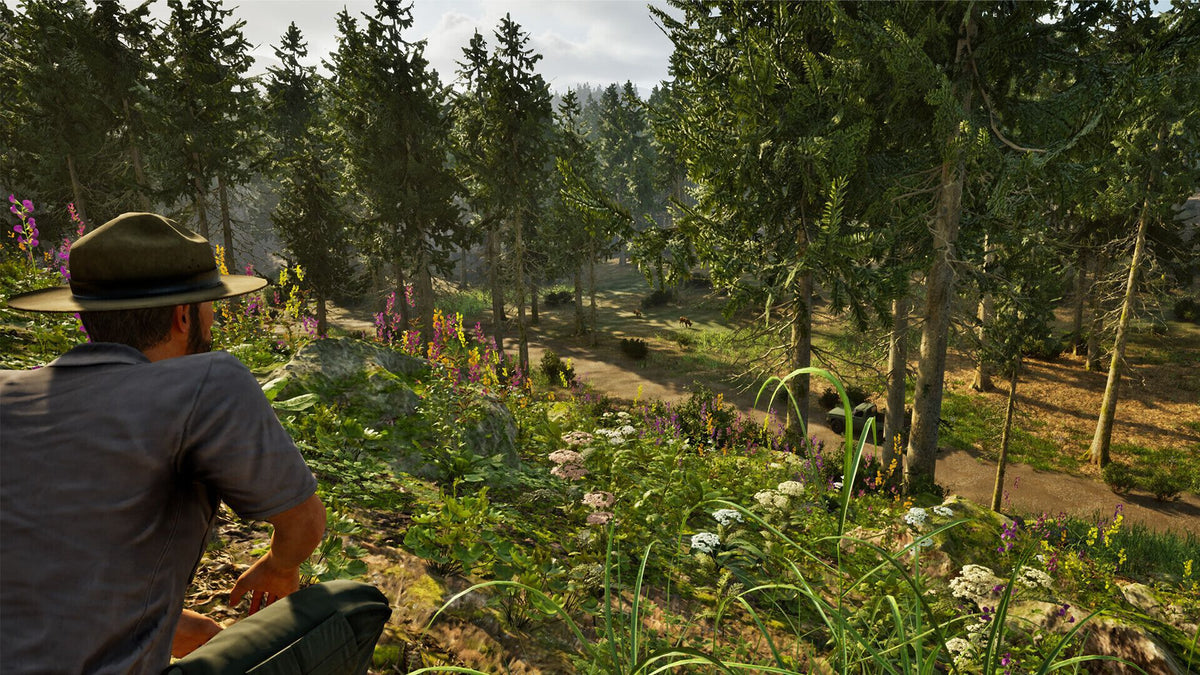 Park Ranger Simulator (Playstation 5)