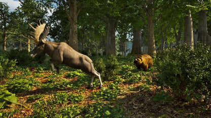 Park Ranger Simulator (Playstation 5)