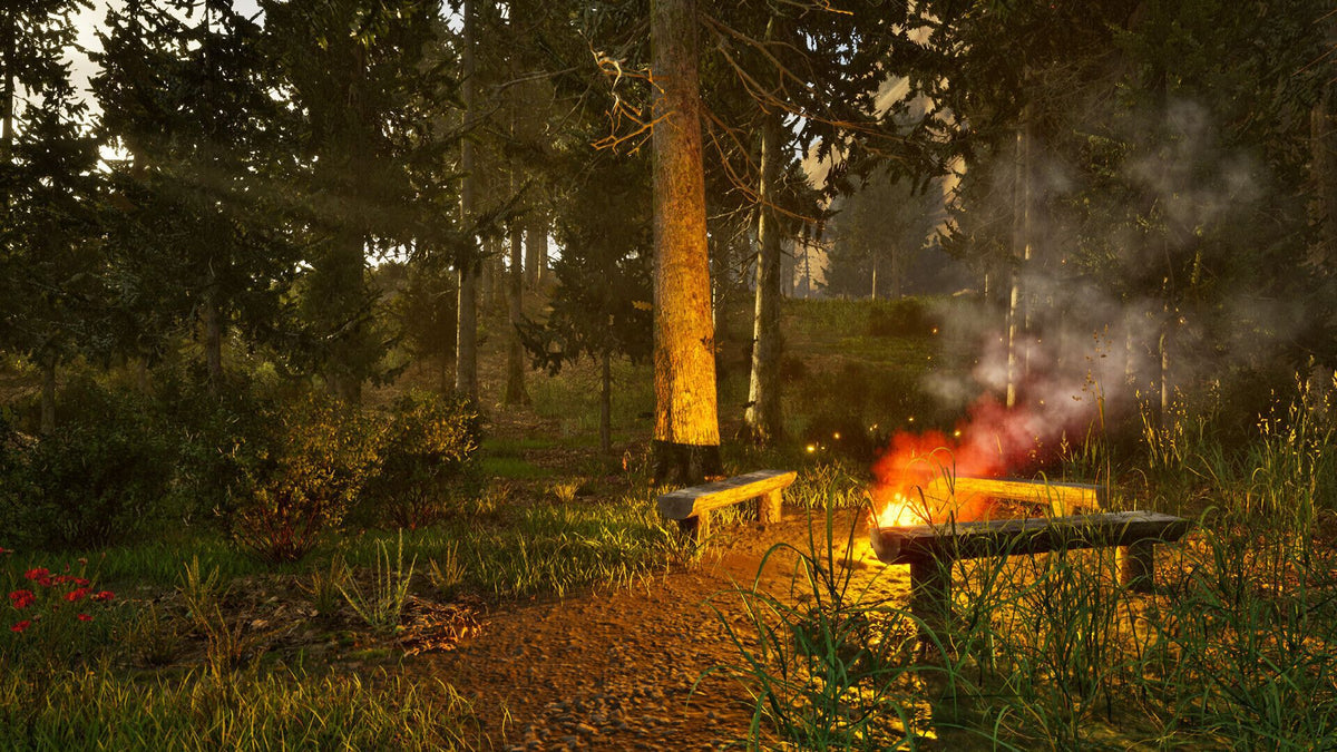 Park Ranger Simulator (Playstation 5)