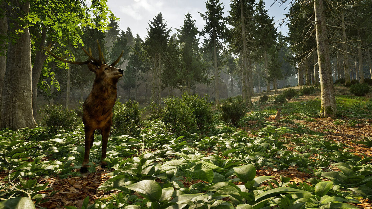 Park Ranger Simulator (Playstation 5)
