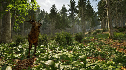 Park Ranger Simulator (Playstation 5)