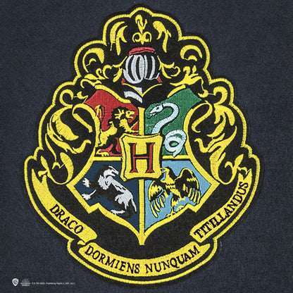 CINEREPLICAS: Harry Potter - Hogwarts stenska zastava