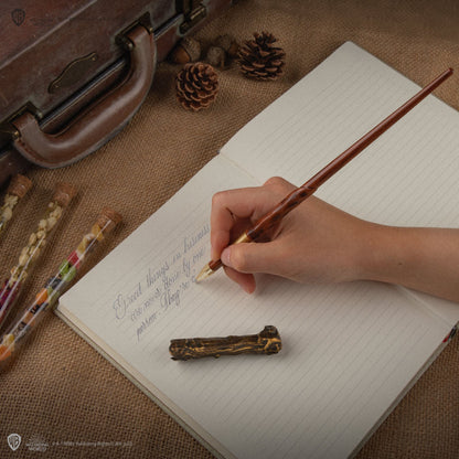 CINEREPLICAS: Harry Potter - Harry Potter pisalo s stojalom