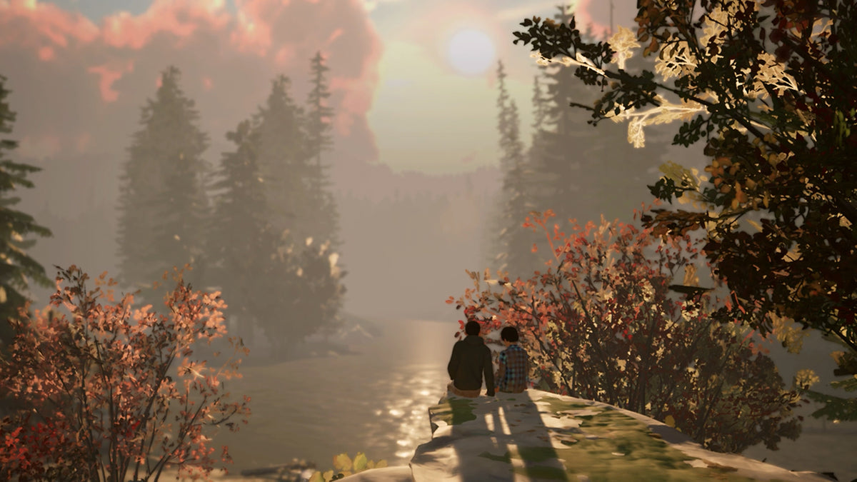 Life Is Strange 2 (CIAB) (Nintendo Switch)