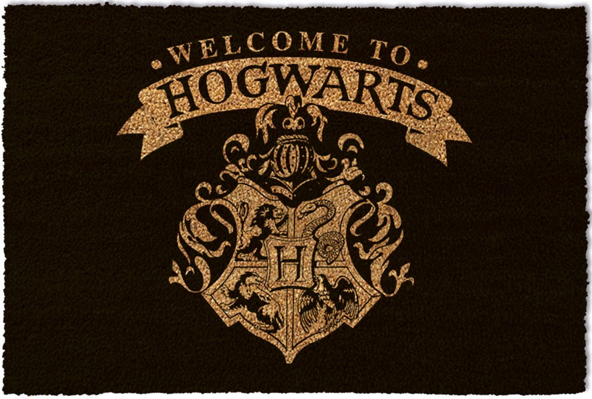 PYRAMID HARRY POTTER (WELCOME TO HOGWARTS) PREDPRAŽNIK 37 X 55CM