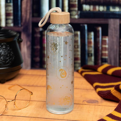 PALADONE Harry Potter constellations steklen bidon