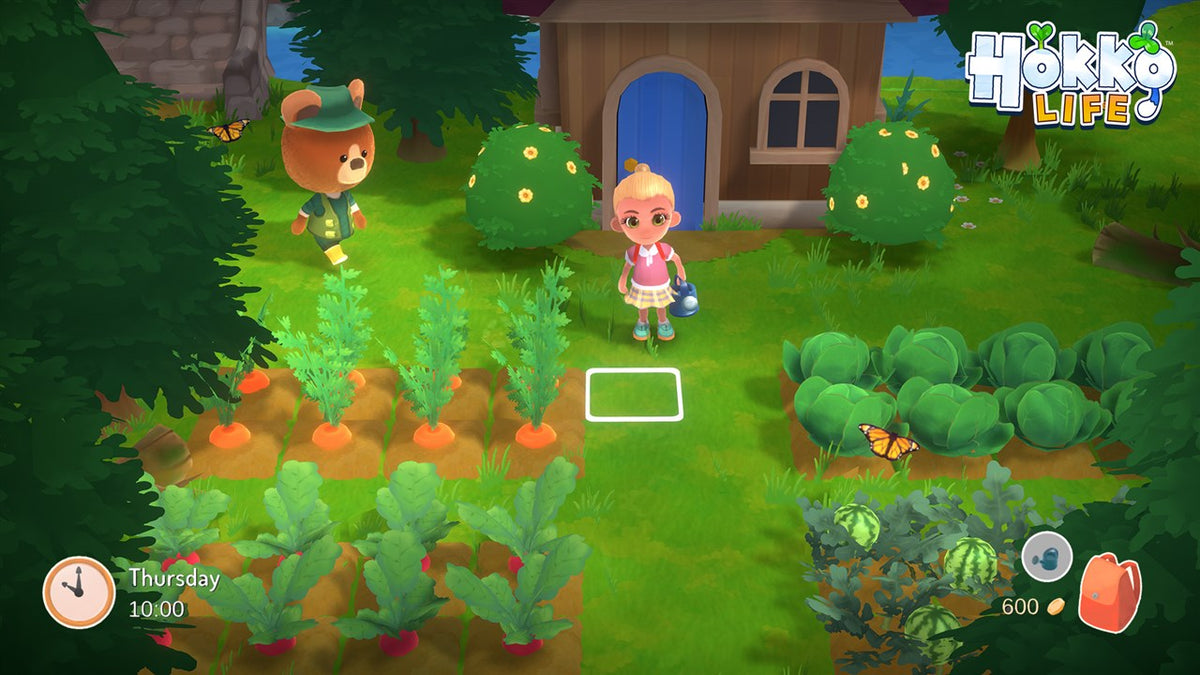 Hokko Life (Nintendo Switch)
