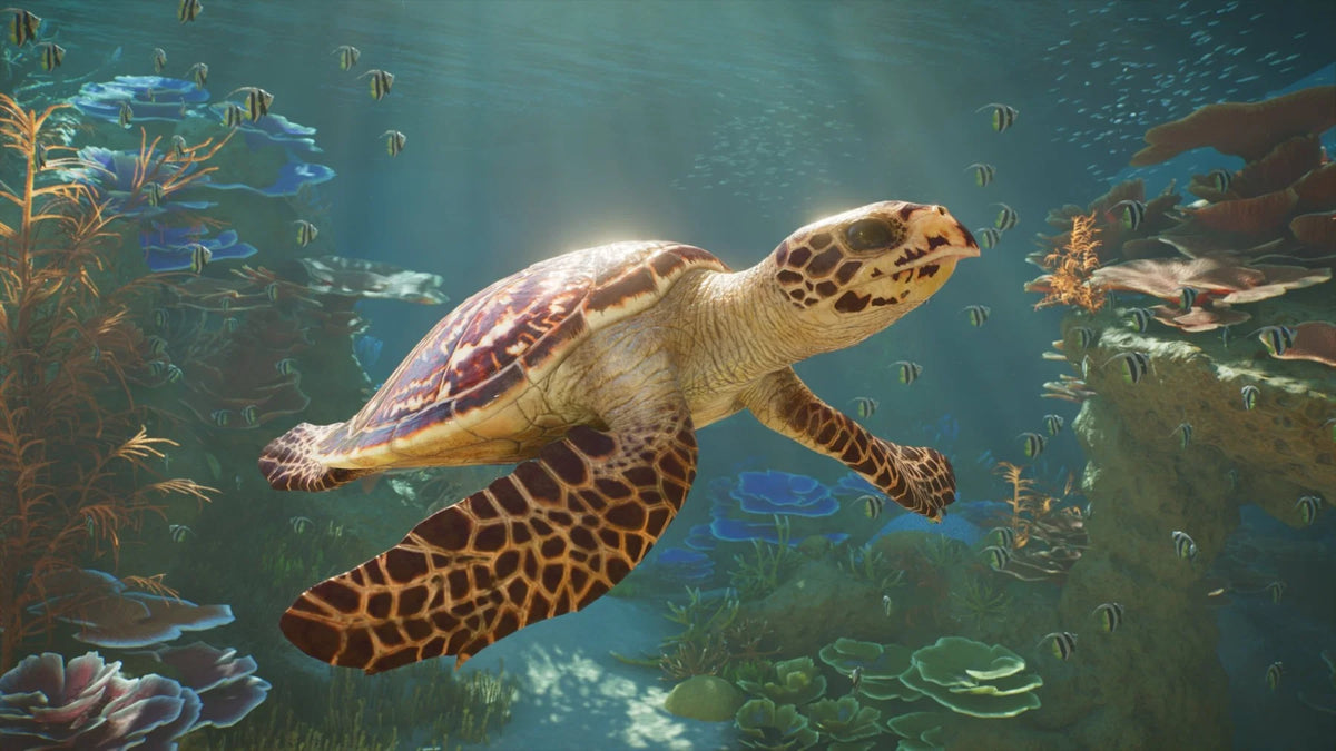 Planet Zoo 2 (XBOX Series X)