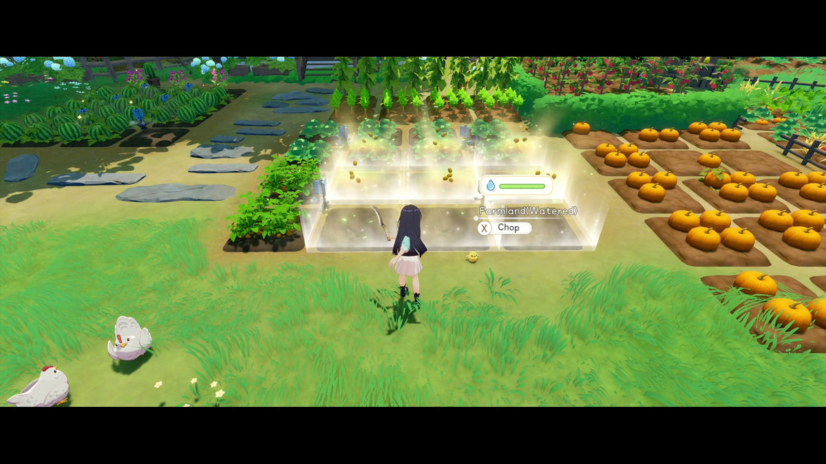Starsand Island (Nintendo Switch 2)