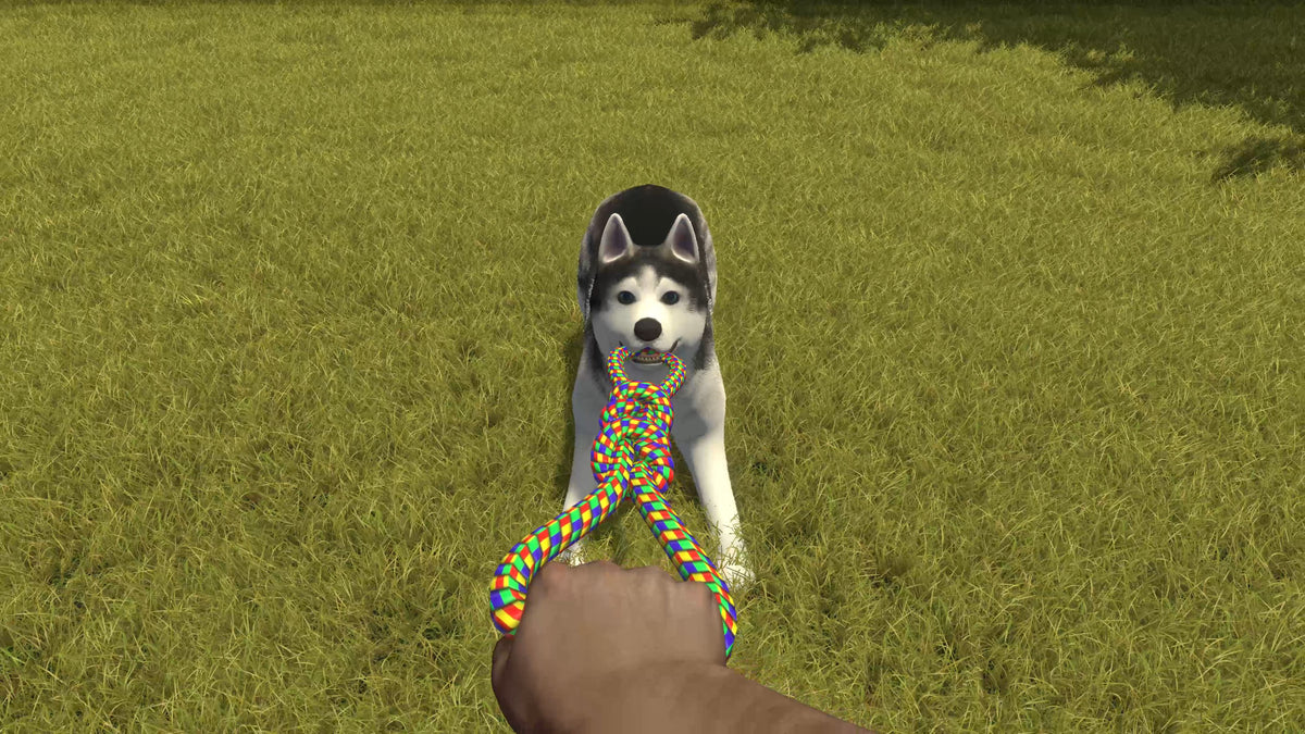 House Flipper - Pets Edition (Playstation 4)