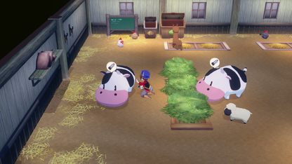 STORY OF SEASONS: Grand Bazaar (SWITCH)