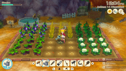 Story Of Seasons: Grand Bazaar - Limited Edition (SWITCH)