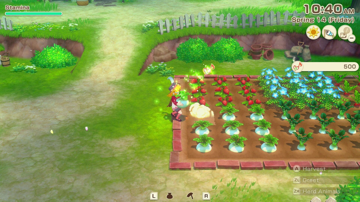 Story Of Seasons: Grand Bazaar (Nintendo Switch 2)