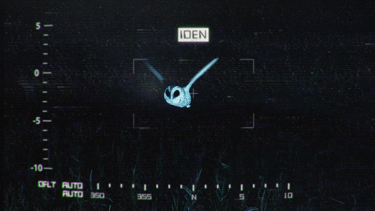 They Are Here: Alien Abduction Horror (Playstation 5)