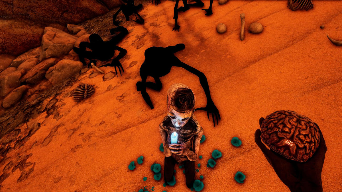 Necrophosis : Full Consciousness & The Shore Double Pack (Playstation 5)