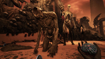 Necrophosis : Full Consciousness & The Shore Double Pack (Playstation 5)