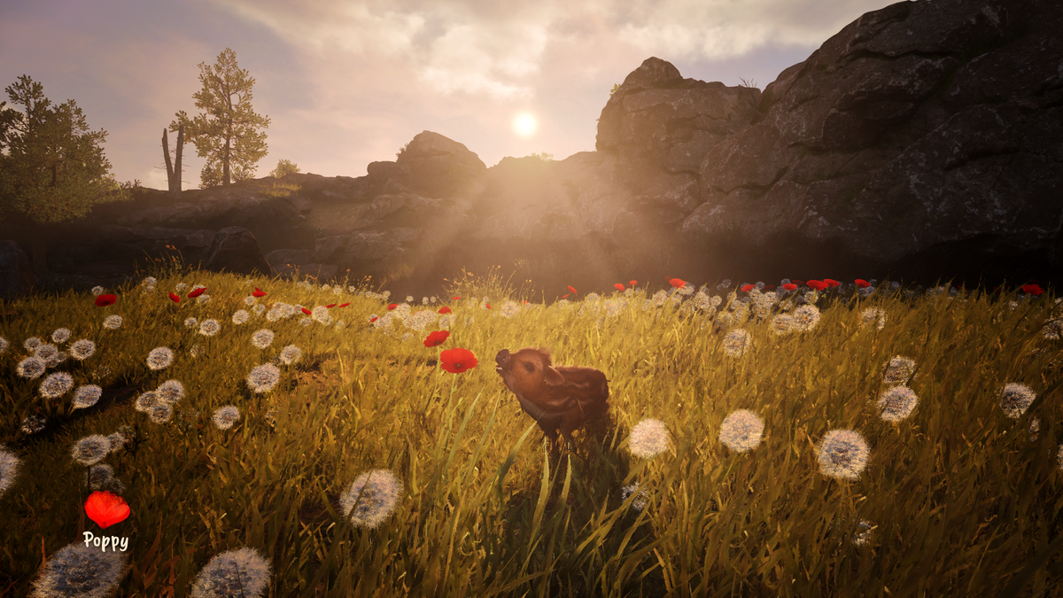 Adorable Adventures (Playstation 5)