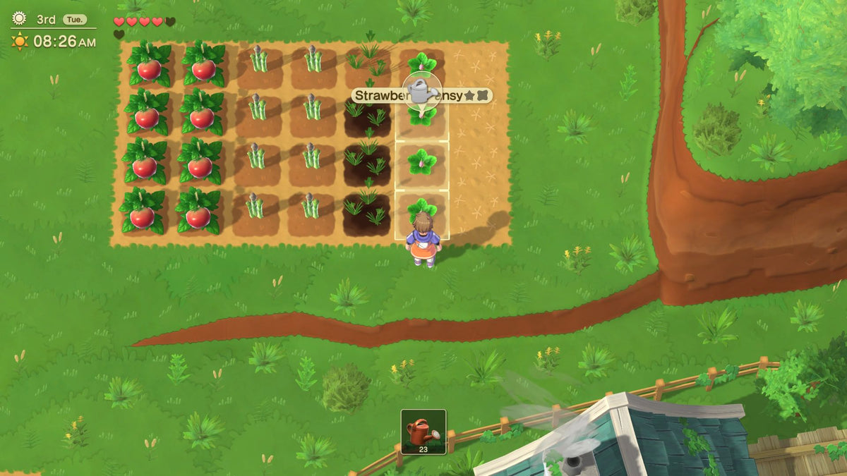 Harvest Moon: Home Sweet Home - Special Edition (Playstation 5)