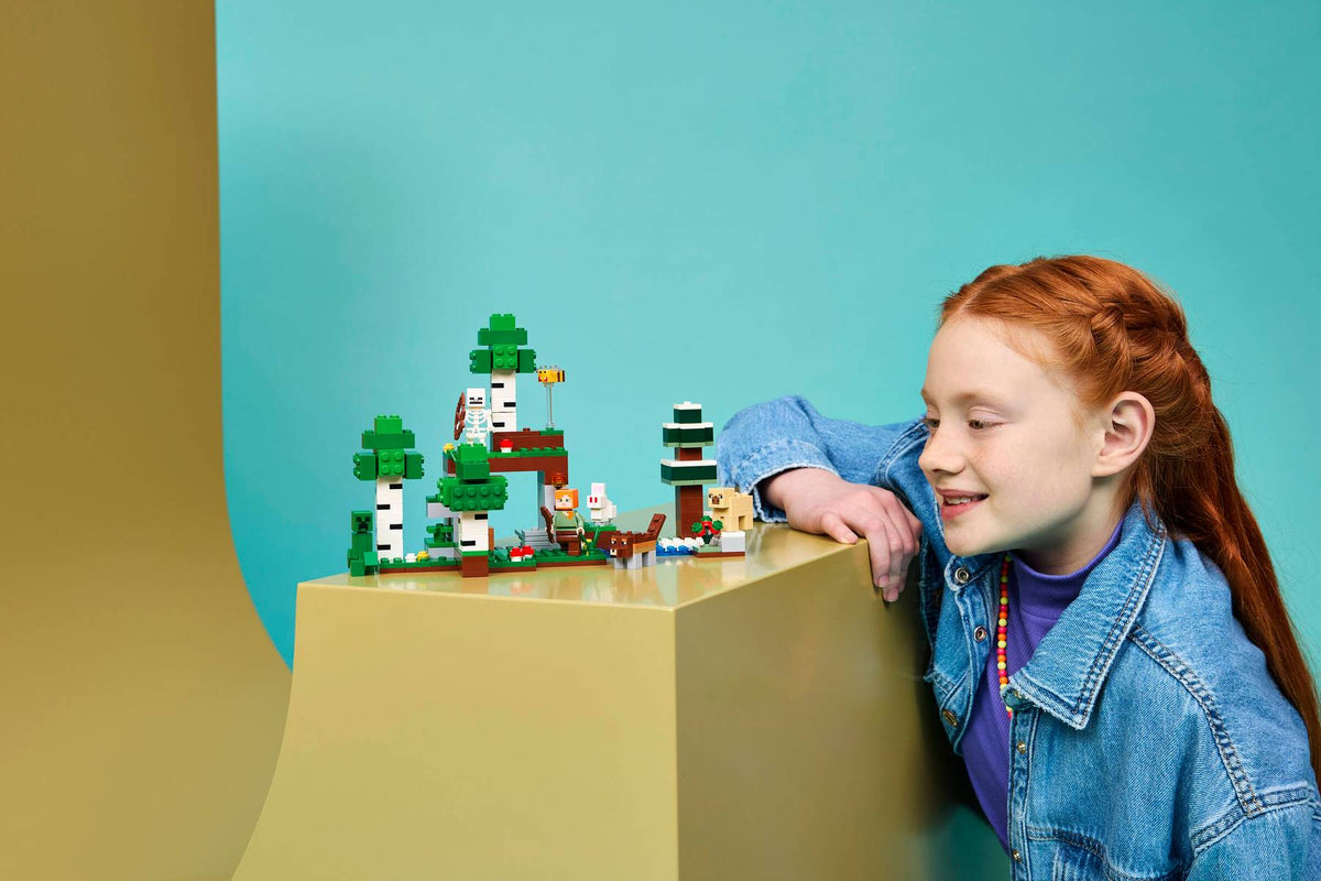 LEGO MINECRAFT - FIRST NIGHT ADVENTURE #21593