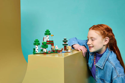 LEGO MINECRAFT - FIRST NIGHT ADVENTURE #21593