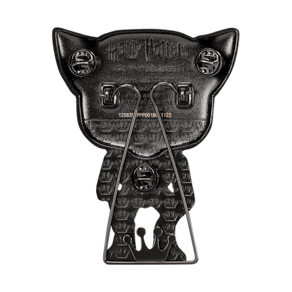 FUNKO POP PIN: HARRY POTTER - REMUS LUPIN