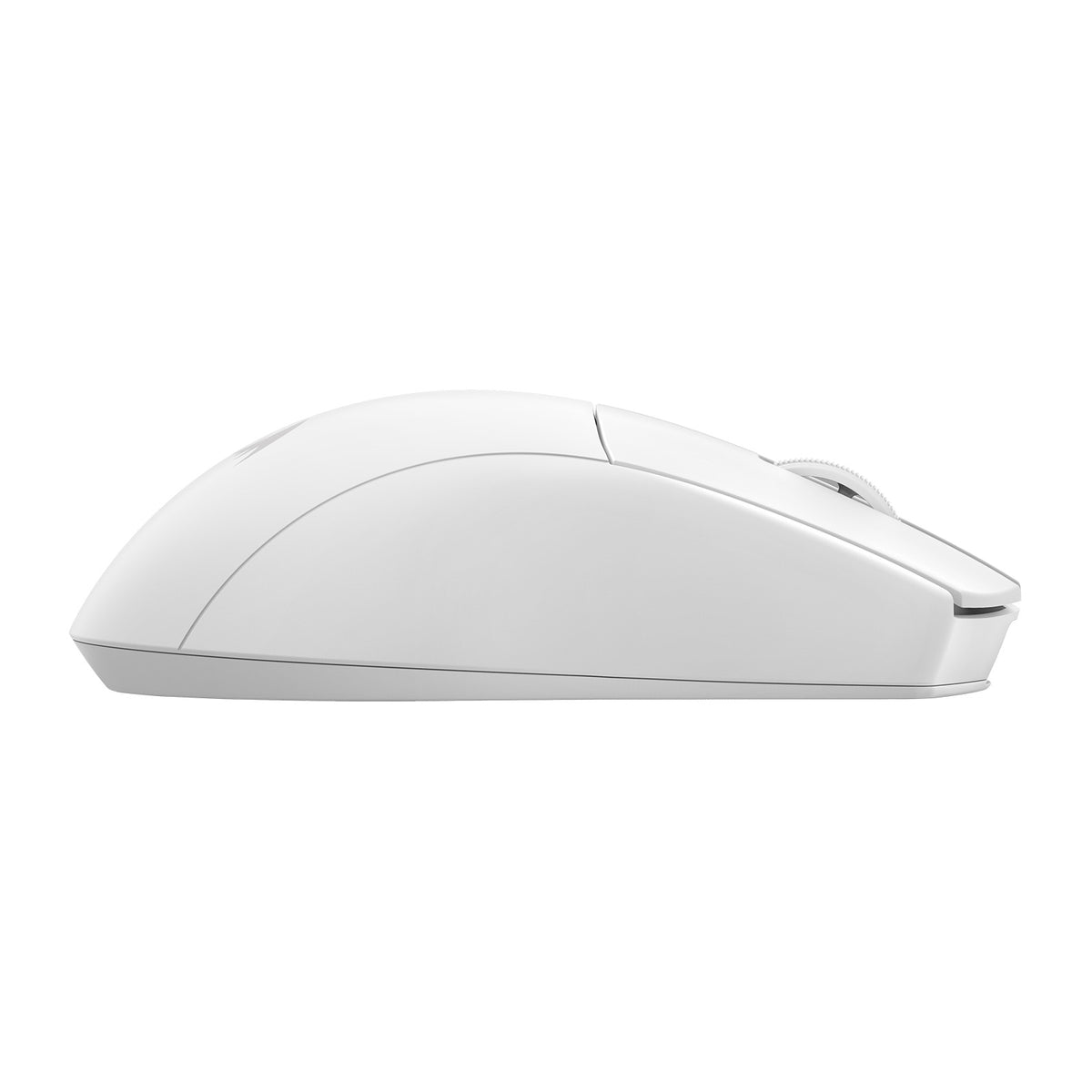REDRAGON K1NG STANDARD M916-STD-1K ŽIČNA/2.4G/BT MIŠKA - BELA