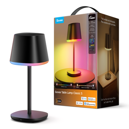 GOVEE TABLE LAMP WITH BATTERY
