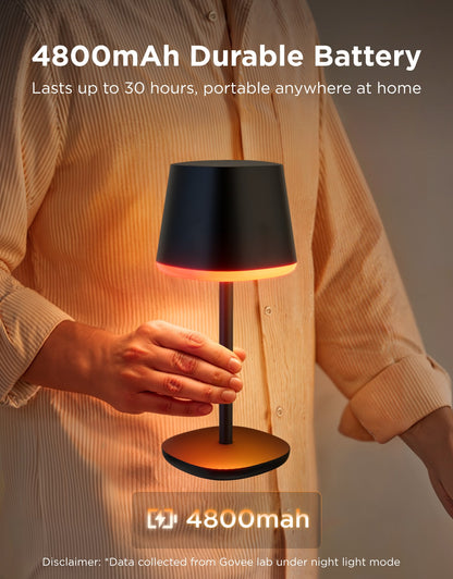 GOVEE TABLE LAMP WITH BATTERY
