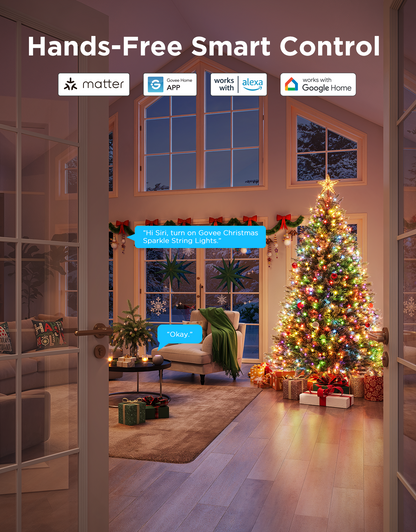 GOVEE Christmas Sparkle String Lights 20m