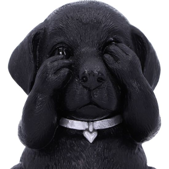 NEMESIS NOW Three wise labradors figurica