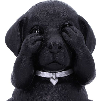 NEMESIS NOW Three wise labradors figurica