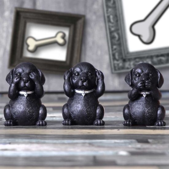 NEMESIS NOW Three wise labradors figurica