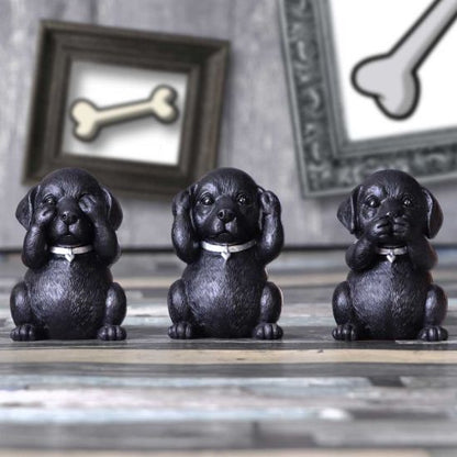 NEMESIS NOW Three wise labradors figurica
