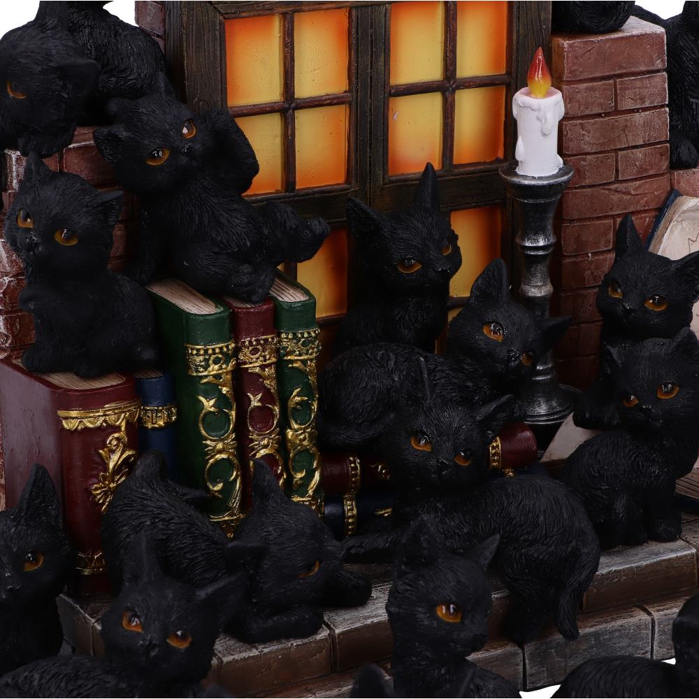 NEMESIS NOW THE WITCHES LITTER ASSORTED figurica
