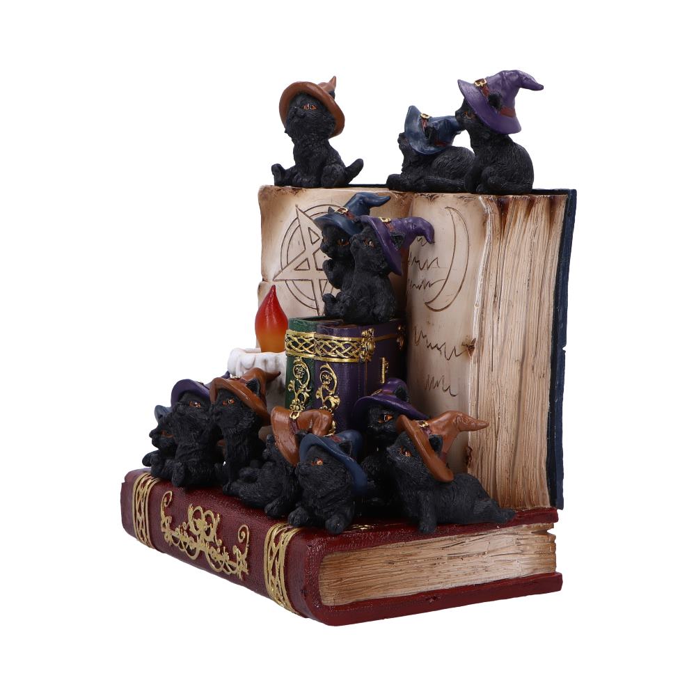NEMESIS NOW COVEN KEEPERS ASSORTED figurica