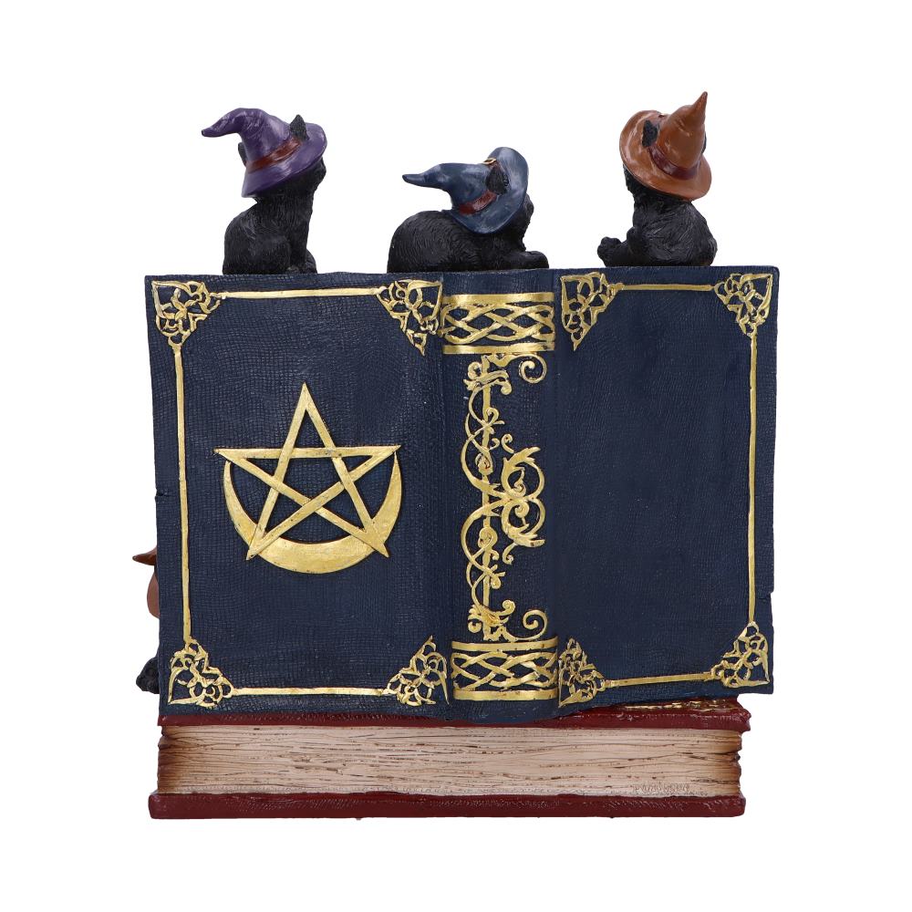 NEMESIS NOW COVEN KEEPERS ASSORTED figurica