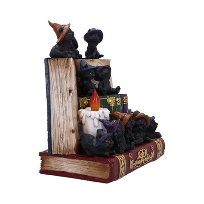 NEMESIS NOW COVEN KEEPERS ASSORTED figurica