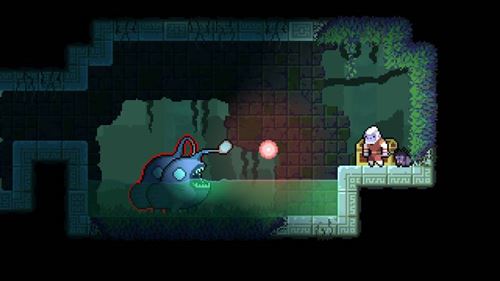 Dunjungle - Premium Edition (Nintendo Switch)