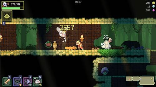 Dunjungle - Premium Edition (Nintendo Switch)