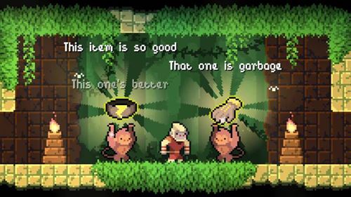 Dunjungle - Premium Edition (Nintendo Switch)