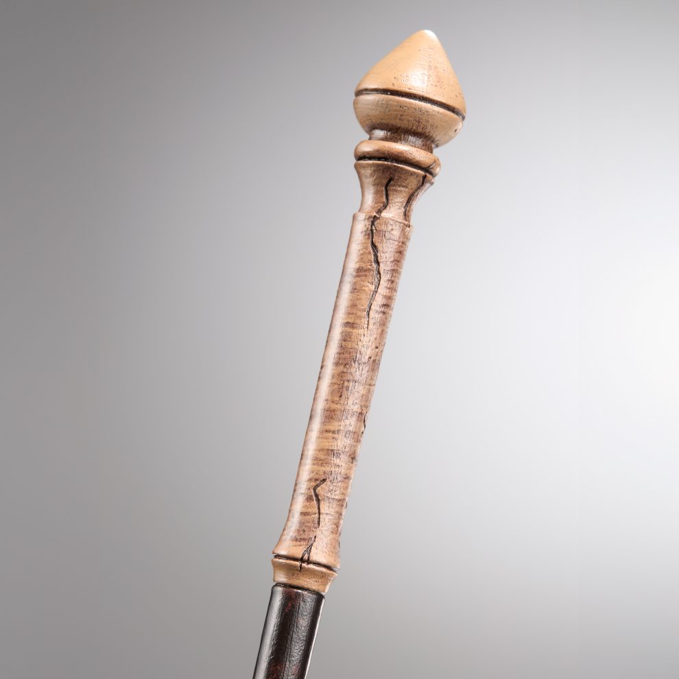 NOBLE COLLECTION - HERMIONE GRANGER’S PRVA ČAROBNA PALICA V OLLIVANDERS ŠKATLI