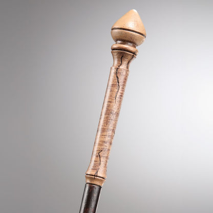 NOBLE COLLECTION - HERMIONE GRANGER’S PRVA ČAROBNA PALICA V OLLIVANDERS ŠKATLI