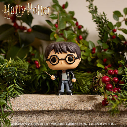 FUNKO POP! VINYL: HARRY POTTER: HARRY POTTER