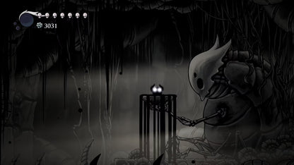 Hollow Knight (Nintendo Switch 2)