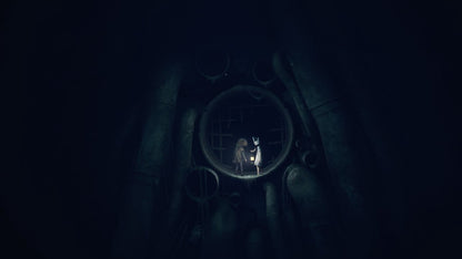 REANIMAL - Deluxe Edition (Nintendo Switch 2)