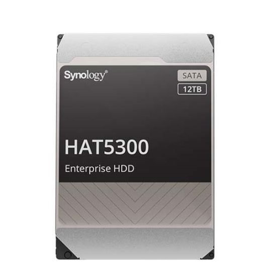 Trdi disk 12TB Synology HAT5300 256MB (HAT5300-12T)
