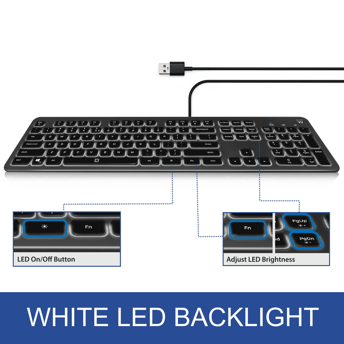 Tipkovnica Ewent Wired Illuminated Scissor, črna, USB, SLO EW3271