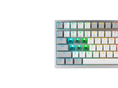 Tipkovnica ASUS ROG Azoth Wireless, ROG NX Snow, PBT, OLED, RGB, USB, US, bela